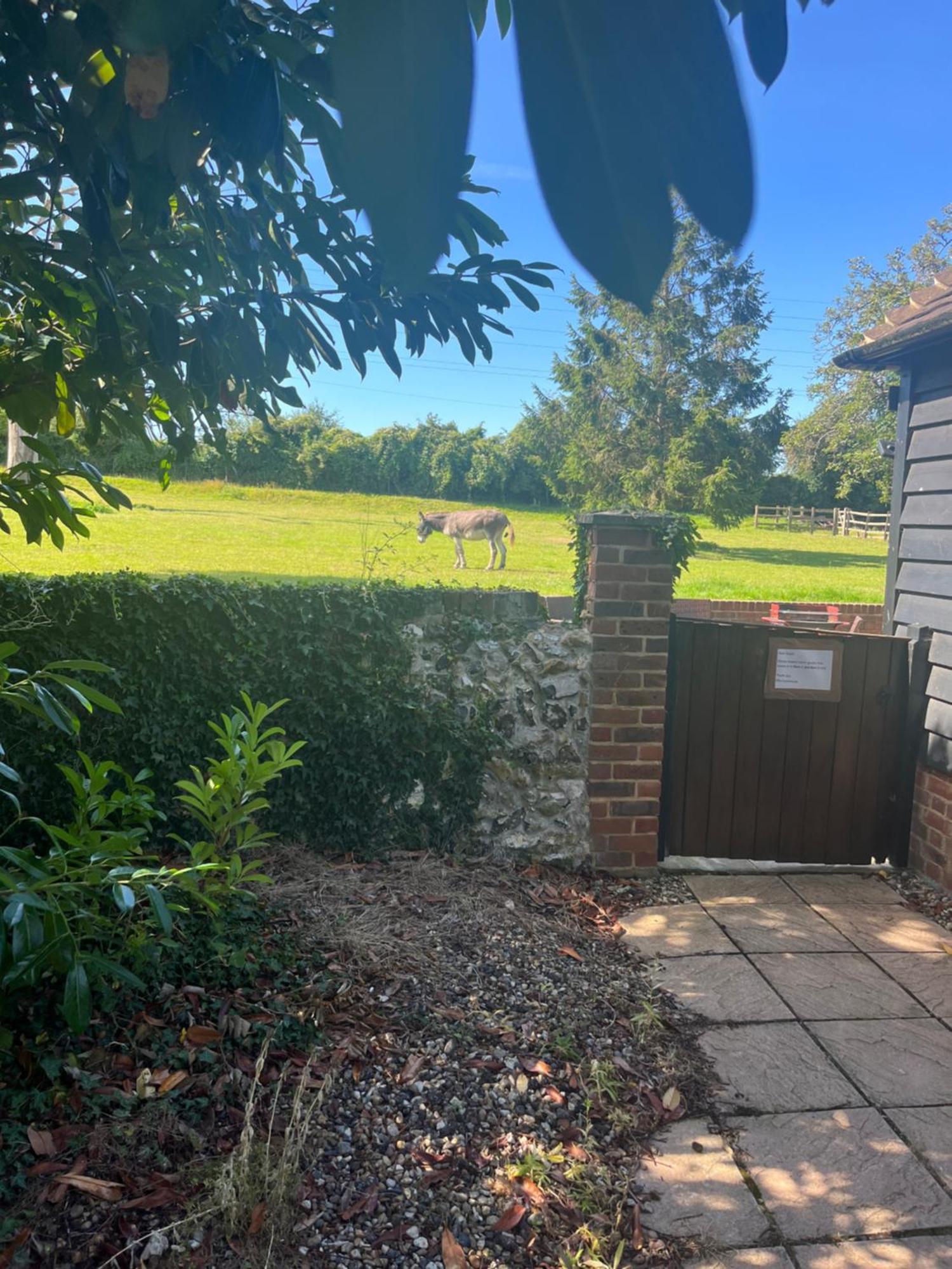 Iffin Farmhouse Canterbury Exterior photo